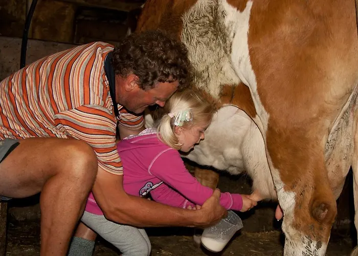 Habererhof Alloggio per agriturismo Virgen