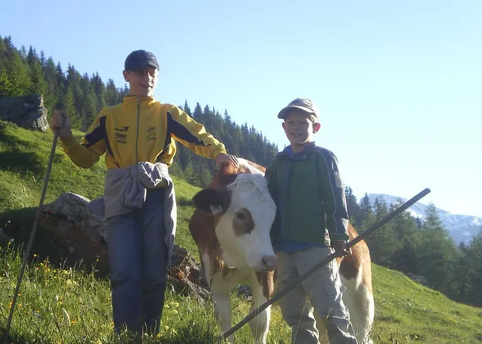 哈伯乐霍夫旅馆 * 维京